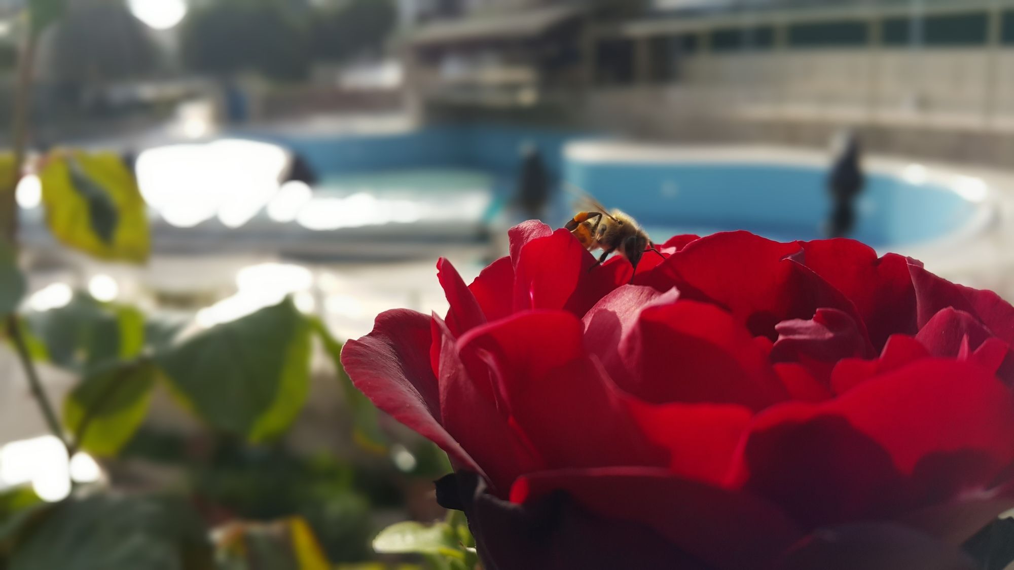 Tu Casa Gelidonya Hotel 凯梅尔 外观 照片
